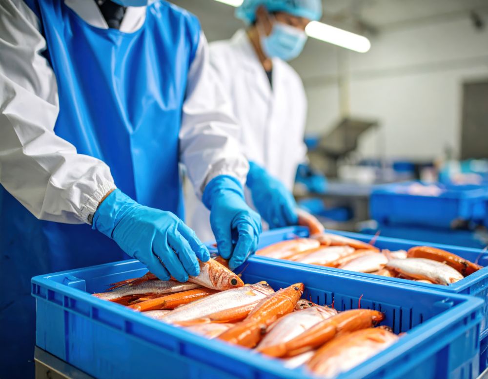 鮮魚加工の働き方と雇用形態