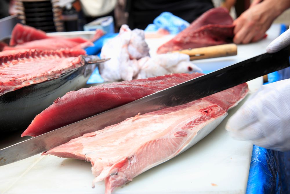 鮮魚加工の仕事内容を工程別に解説